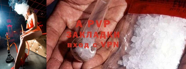 дурь Богданович