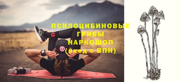 не бодяженный Богородск