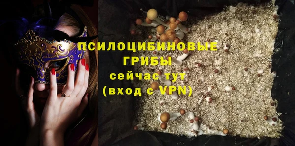СК Богородицк