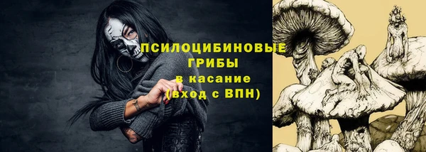 СК Богородицк